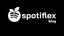 Spotiflex Content Brief How to Get Spotify Premium for Free. 2022 Guide
