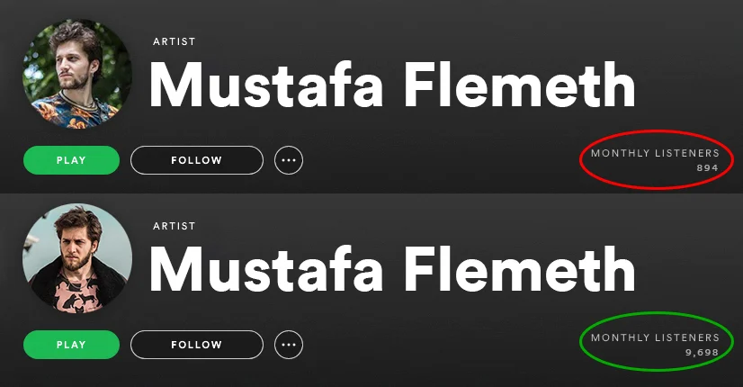 spotify-monthly-listeners-before-and-after-spotiflex (2)