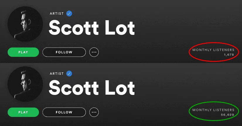 spotify-monthly-listeners-before-and-after-spotiflex (3)
