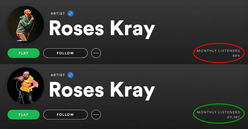 spotify-monthly-listeners-before-and-after-spotiflex (4)