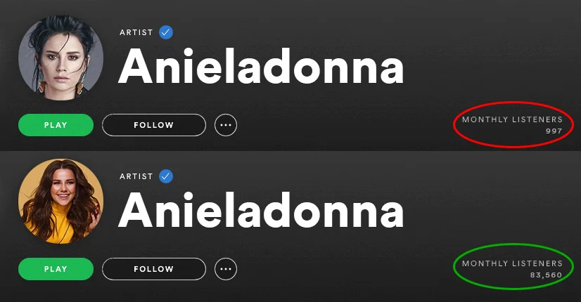 spotify-monthly-listeners-before-and-after-spotiflex (6)