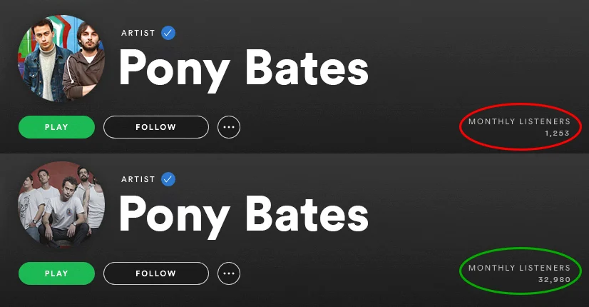 spotify-monthly-listeners-before-and-after-spotiflex (9)
